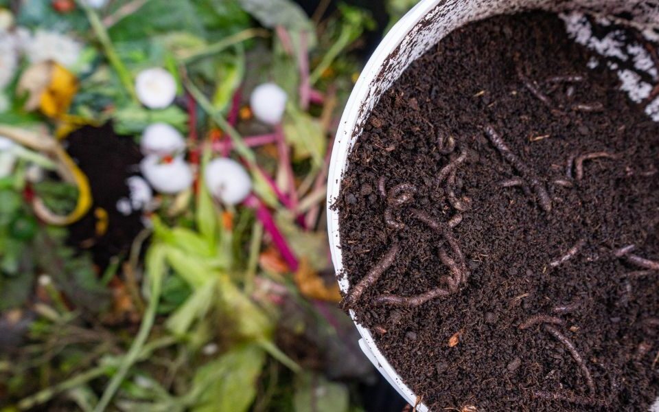 Top Vermicompost Dealers in Udaipur