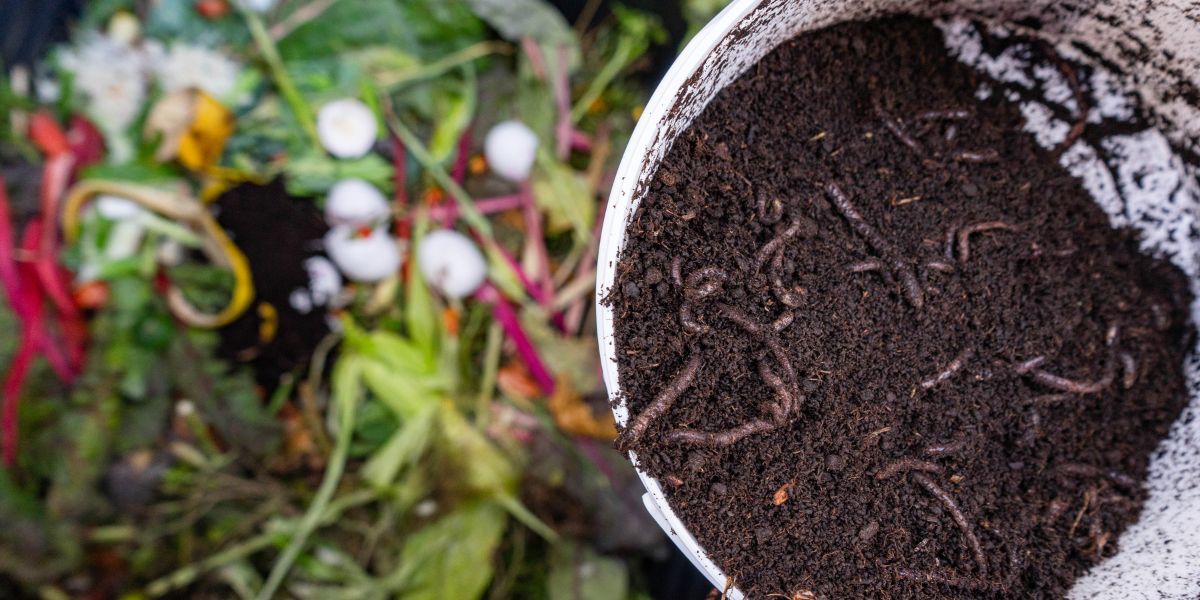 Top Vermicompost Dealers in Udaipur